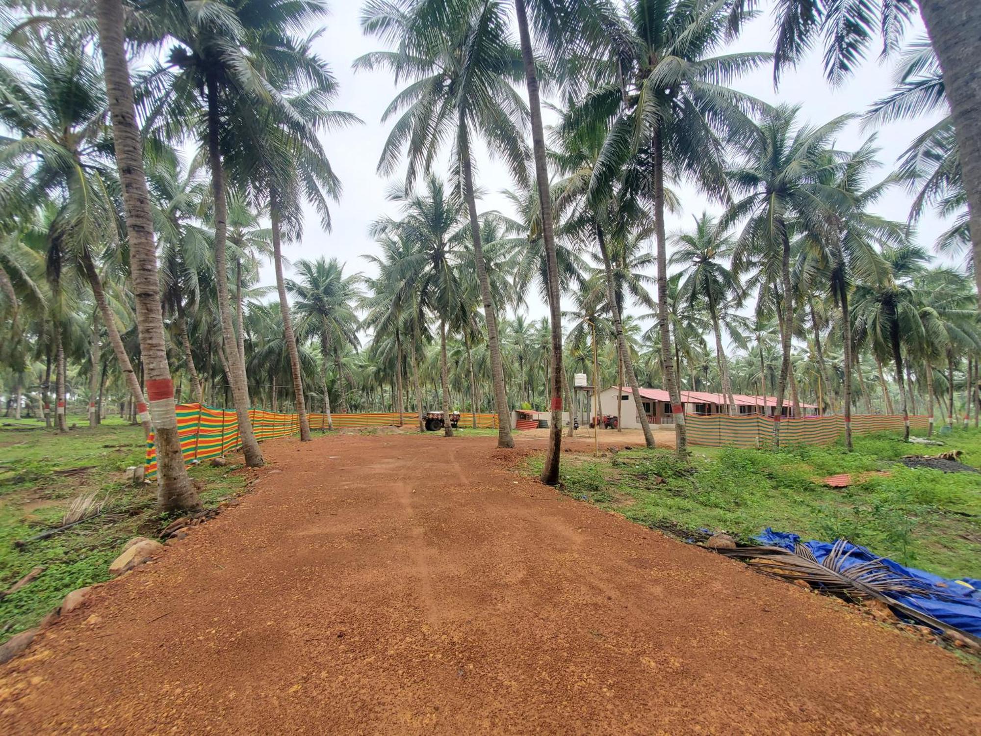 Coastline Beach Resort Perupalem المظهر الخارجي الصورة