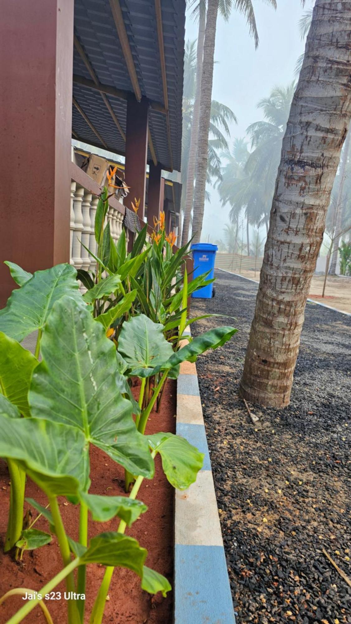 Coastline Beach Resort Perupalem المظهر الخارجي الصورة